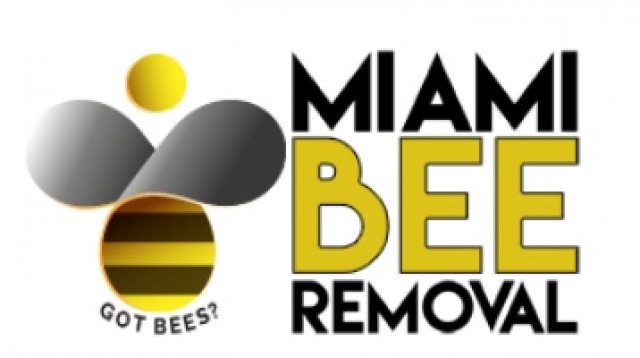 Bee Removal Service in Florida