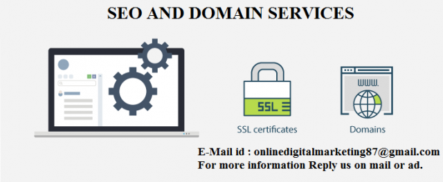 Website Hosting, SSL Domains Services