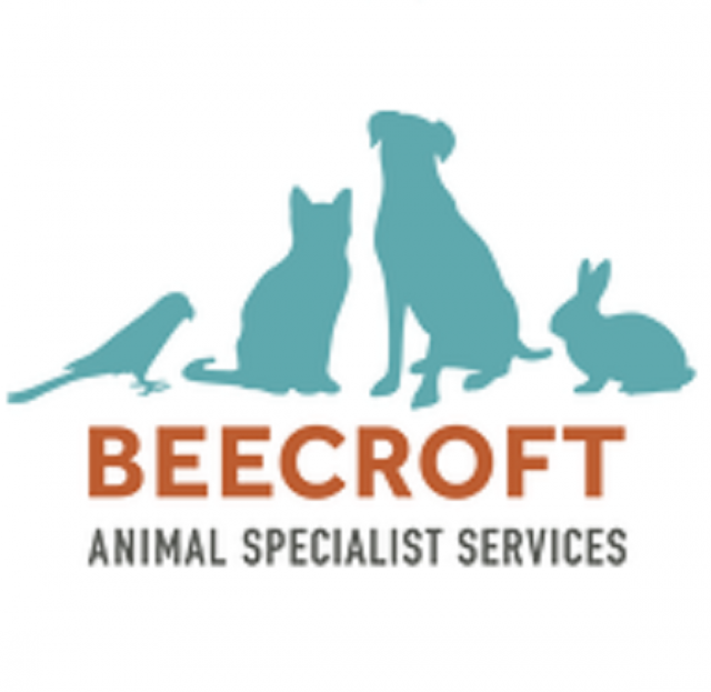 Surgical Veterinary Specialists & Animal clinic services in Singapore