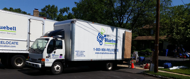 Bluebell Relocation Services