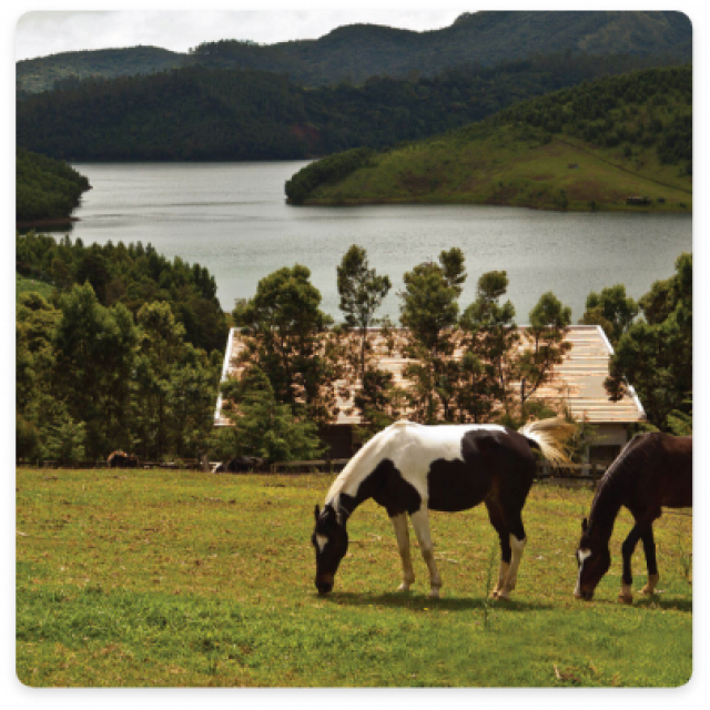 Bandipur coorg and chikmagalur trip