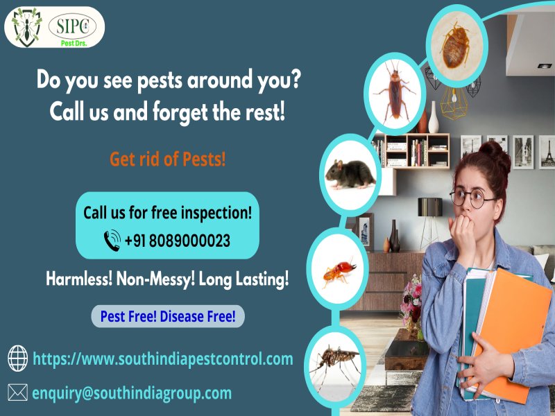 Pest Control Services in Chennai