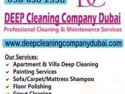 DEEP Cleaning Company Dubai