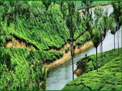 Munnar Travel Package to Explore Kerala