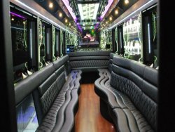 Party Bus Rentals