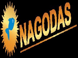 No.1 Seafood, Fish, Mutton and Chicken supplier in Delhi NCR | Nagodas.in