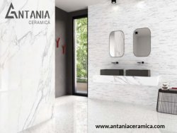 Digital Wall Tiles Manufacturer ,Supplier and Exporter in Morbi: Antania Ceramica
