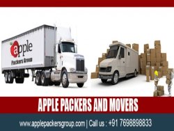 Apple Packers and Movers in Surat