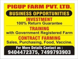 PIG FARMING & SERVICES