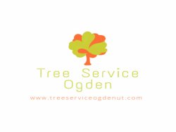 Tree Service Ogden