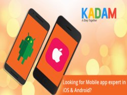 Mobile App Development
