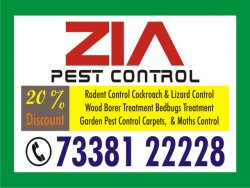 Pest Control 7338122228 | Cockroach Service | 1479 | 20% Discount