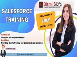 Salesforce Training in Delhi	