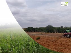 Agricultural Land Investment Near Bangalore - Mytan Farma