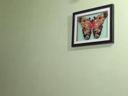 Photo frame gifts for home decor Abstract Butterfly art work Aadhi Creation