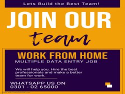 Part time job opportunity for males & females data entry job home base