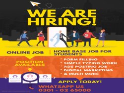 Enroll, students, unemployed for online home job – Form Filling job