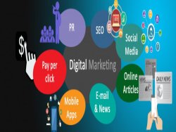 Digital Marketing Agency in Panipat