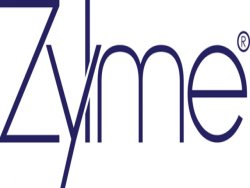 Digital marketing services | SEO and SMM services | Zylme