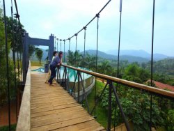 Luxury Resorts In Wayanad