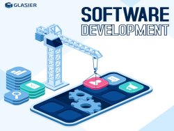 Custom Software Development Company,