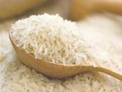 Export Sona Masoori Rice Online in Bulk Through Tradologie.com