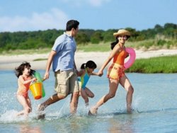 Kerala Honeymoon Tour