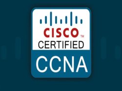 CCNA Training In Noida