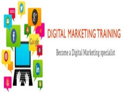 Digital Marketing Training In Noida