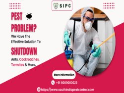 Pest Control Services in Goa