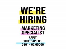 We are providing you home based data entry jobs, 