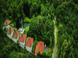 Hotel Near Athirappilly Waterfall