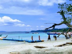 Mangalore and kudajadri tour     