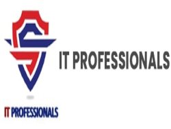IT institute in chennai - IT Professionals
