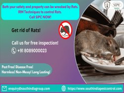 Rat Control in Chennai