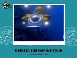 Breathtaking Deep-Sea Submarine Tours in the Best Water Vehicle